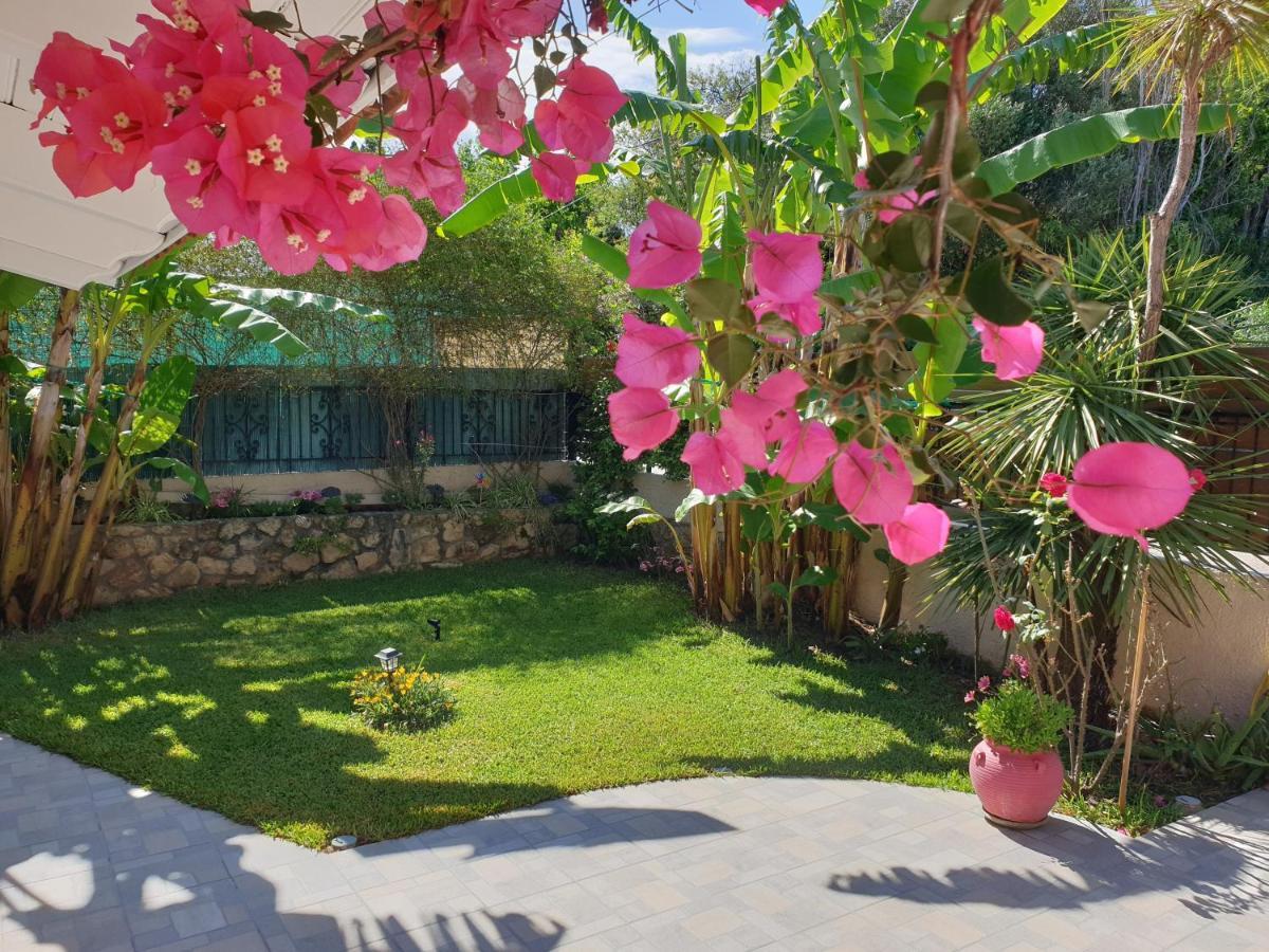 Villa Aloe House Lakíthra Exterior foto